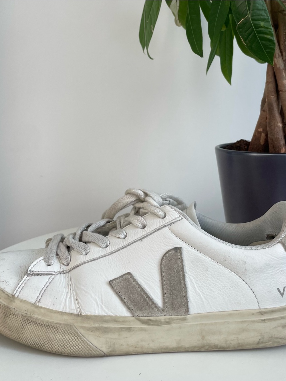Women Size 9 Veja Campo Shoes White Gray